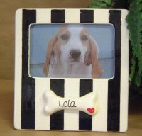 Pet Frames