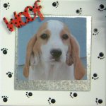 Magnetic Photo Frame