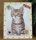Magnetic Photo Frame
